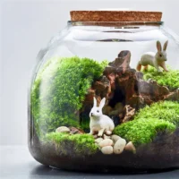 kf-S735b040362d44e2d80b264e1c0c1c3bde-Micro-Landscape-Moss-Bryophyte-Glass-Vase-With-Cork-Fresh-Green-Moss-Bottle-Glass-Terrarium-Creative-Hydroponic כלי זכוכית צנצנת טרריום זכוכית בעיצוב בועה