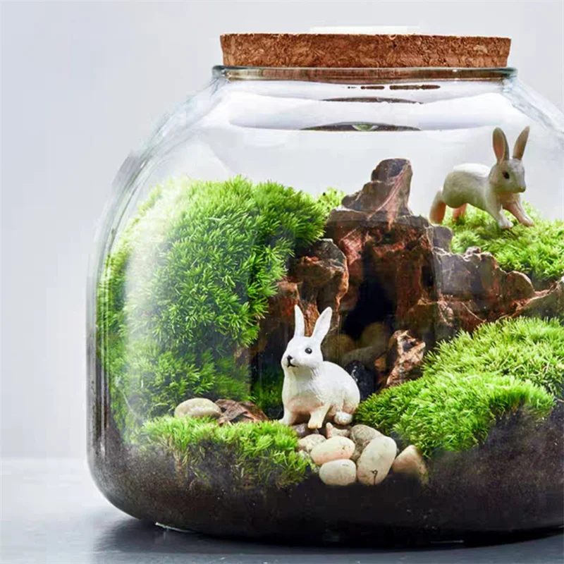 kf-S735b040362d44e2d80b264e1c0c1c3bde-Micro-Landscape-Moss-Bryophyte-Glass-Vase-With-Cork-Fresh-Green-Moss-Bottle-Glass-Terrarium-Creative-Hydroponic כלי זכוכית צנצנת טרריום זכוכית בעיצוב בועה