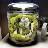 kf-S986720a9b49d4b3ba3fff866101eb17fy-Micro-Landscape-Glass-Bottles-Creativity-Dew-Collection-Glass-Vase-Succulent-Moss-Landscape-Glass-Terrarium-Home-Decor כלי זכוכית צנצנת טרריום מזכוכית בורוסיליקט - לעיצוב נוף מיניאטורי מושלם