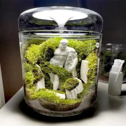 kf-S986720a9b49d4b3ba3fff866101eb17fy-Micro-Landscape-Glass-Bottles-Creativity-Dew-Collection-Glass-Vase-Succulent-Moss-Landscape-Glass-Terrarium-Home-Decor כלי זכוכית צנצנת טרריום מזכוכית בורוסיליקט - לעיצוב נוף מיניאטורי מושלם