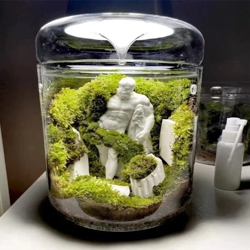 kf-S986720a9b49d4b3ba3fff866101eb17fy-Micro-Landscape-Glass-Bottles-Creativity-Dew-Collection-Glass-Vase-Succulent-Moss-Landscape-Glass-Terrarium-Home-Decor כלי זכוכית צנצנת טרריום מזכוכית בורוסיליקט - לעיצוב נוף מיניאטורי מושלם
