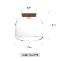kf-Sad2099cdb694426e95dfb81853bbfcc25-Micro-Landscape-Moss-Bryophyte-Glass-Vase-With-Cork-Fresh-Green-Moss-Bottle-Glass-Terrarium-Creative-Hydroponic כלי זכוכית צנצנת טרריום זכוכית בעיצוב בועה