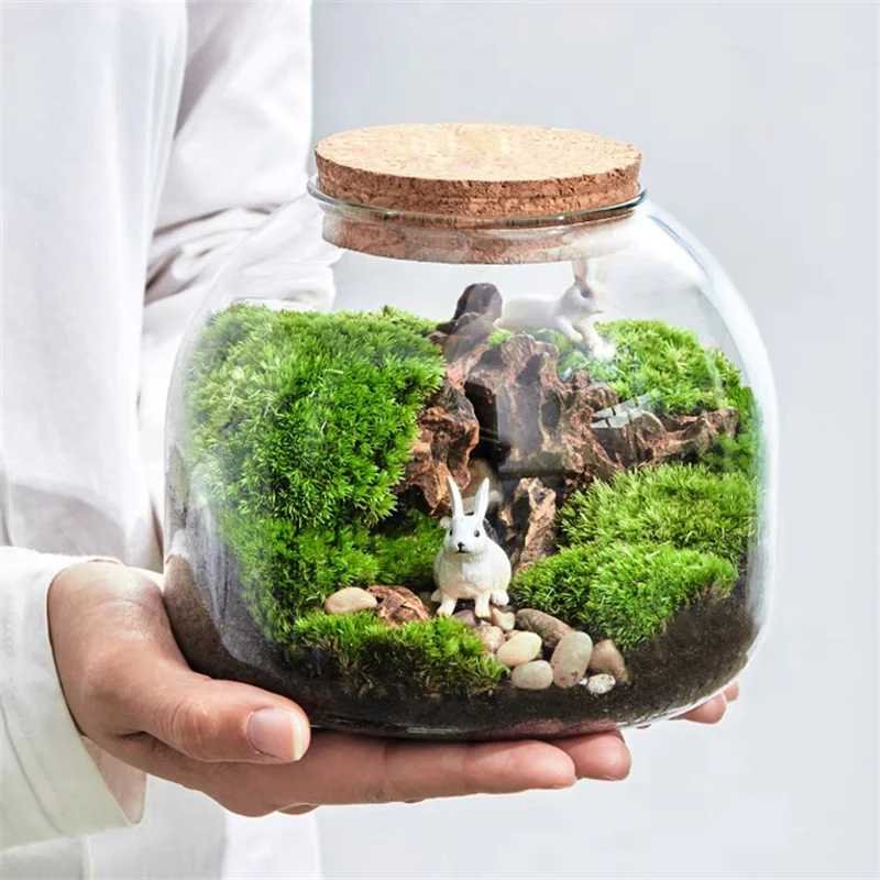 kf-Sd63df23071c84520bd96656c0b5ef5852-Micro-Landscape-Moss-Bryophyte-Glass-Vase-With-Cork-Fresh-Green-Moss-Bottle-Glass-Terrarium-Creative-Hydroponic כלי זכוכית צנצנת טרריום זכוכית בעיצוב בועה