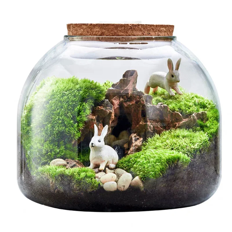 kf-Sd9eaf13a887446ae867562efa2be8c76z-Micro-Landscape-Moss-Bryophyte-Glass-Vase-With-Cork-Fresh-Green-Moss-Bottle-Glass-Terrarium-Creative-Hydroponic כלי זכוכית צנצנת טרריום זכוכית בעיצוב בועה