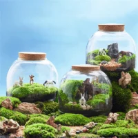 kf-Sfcebfde4888f44a0a2d3c85dfe30d5c99-Micro-Landscape-Moss-Bryophyte-Glass-Vase-With-Cork-Fresh-Green-Moss-Bottle-Glass-Terrarium-Creative-Hydroponic כלי זכוכית צנצנת טרריום זכוכית בעיצוב בועה
