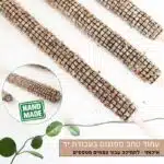 עמוד טחב ספגנום עמוד טחב ספגנום