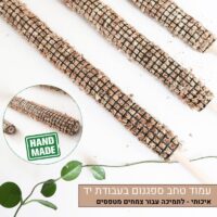 עמוד טחב ספגנום עמוד טחב ספגנום