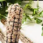 עמוד טחב ספגנום עמוד טחב ספגנום