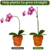 kf-S1b6a7fafe4b843cd9dafa8b75d23def24-Plant-Stakes-Plant-Support-Stakes-Suitable-for-Indoor-Outdoor-Plants-Green-Plant-Stick-Support-Potted-Plants סט 15 מוטות תמיכה מקצועיים עם קליפסים - מושלם לסחלבים ולשאר צמחי הבית והגינה הדורשים תמיכה