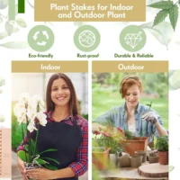 kf-S63614dd5e5394ff08daedcfc425147ddU-Plant-Stakes-Plant-Support-Stakes-Suitable-for-Indoor-Outdoor-Plants-Green-Plant-Stick-Support-Potted-Plants סט 15 מוטות תמיכה מקצועיים עם קליפסים - מושלם לסחלבים ולשאר צמחי הבית והגינה הדורשים תמיכה