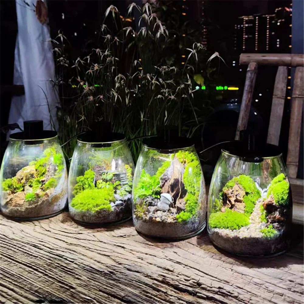 מנורת LED עגולה לטרריום וצמחי מים 🌿 | תאורת ספקטרום מלא לגידול מושלם