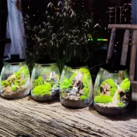 מנורת LED עגולה לטרריום וצמחי מים 🌿 | תאורת ספקטרום מלא לגידול מושלם