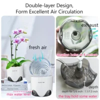 kf-S7b39e3a557a74ef68cd0a4b8f78150c8p-Meshpot-12-cm-Plastic-Orchid-Pot-Inner-Clear-Orchid-Planter-Double-Layer-Good-Outlooking-Plants-Container עציץ לסחלבים מקצועי - לגידול מיטבי דו-שכבתי עם טכנולוגיית ניקוז ייחודית ומערכת אוורור חכמה