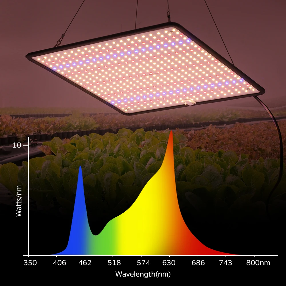 kf-S9db8ce7a60fe4e238003cd24c5413775o-LED-Grow-Light-Full-Spectrum-Phyto-Lamp-AC85-240V-40W-For-Indoor-Grow-Tent-Plants-Growth.webp מנורת גידול LED מקצועית לצמחים 1200W ספקטרום אור מלא בכיסוי עד 3 מר