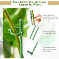 kf-Sa626516d45a842208d45faaf454077eaK-Plant-Stakes-Plant-Support-Stakes-Suitable-for-Indoor-Outdoor-Plants-Green-Plant-Stick-Support-Potted-Plants סט 15 מוטות תמיכה מקצועיים עם קליפסים - מושלם לסחלבים ולשאר צמחי הבית והגינה הדורשים תמיכה