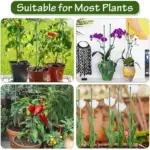 kf-Scaf50078c3104d9cb9d87fbc31479b8cj-Plant-Stakes-Plant-Support-Stakes-Suitable-for-Indoor-Outdoor-Plants-Green-Plant-Stick-Support-Potted-Plants סט 15 מוטות תמיכה מקצועיים עם קליפסים - מושלם לסחלבים ולשאר צמחי הבית והגינה הדורשים תמיכה