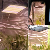 kf-Sda3ca08f78ee44ed98853e53f250bce25-LED-Grow-Light-Full-Spectrum-Phyto-Lamp-AC85-240V-40W-For-Indoor-Grow-Tent-Plants-Growth.webp מנורת גידול LED מקצועית לצמחים 1200W ספקטרום אור מלא בכיסוי עד 3 מר