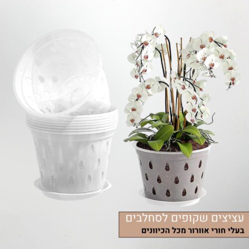 עציצים שקופים לסחלבים עציצים שקופים לסחלבים