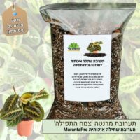 תערובת שתילה איכותית מרנטה פסקינטור 'צמח התפילה' תערובת שתילה איכותית מרנטה פסקינטור 'צמח התפילה'