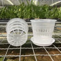 kf-S1a68e053f256496dada9933d50679150a-11-14cm-Mesh-Pot-Root-Control-Transparent-Flowerpot-For-Orchid-Flower-Breathable-Growth-Container-Garden-Plastic עציץ סחלבים מקצועי (Orchid Pot) עם מערכת ניקוז חכמה - פלסטיק שקוף עם חורי ניקוז מוגברים לאוורור שורשים מקסימלי ובריא