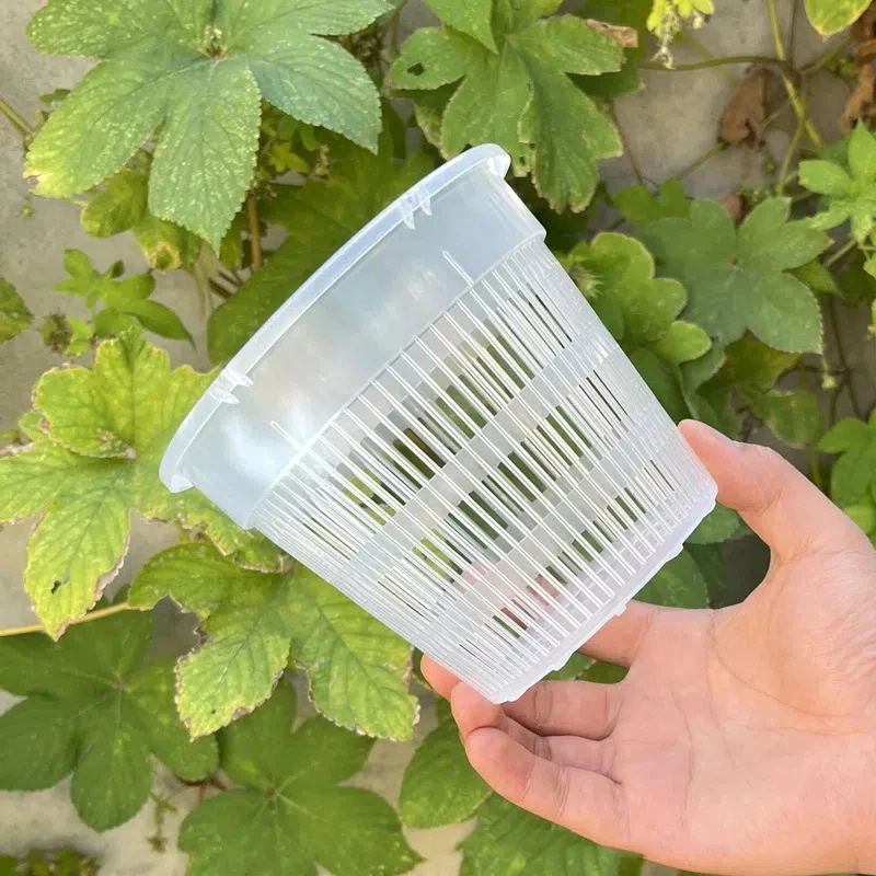 kf-S99829a845f194e1aa45b43956022f6880-11-14cm-Mesh-Pot-Root-Control-Transparent-Flowerpot-For-Orchid-Flower-Breathable-Growth-Container-Garden-Plastic עציץ סחלבים מקצועי (Orchid Pot) עם מערכת ניקוז חכמה - פלסטיק שקוף עם חורי ניקוז מוגברים לאוורור שורשים מקסימלי ובריא