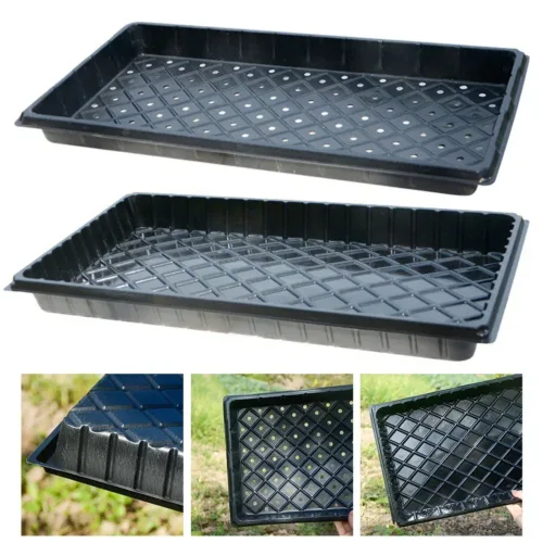 kf-Sc1349bb754984fb09707266768ad7e85W-6pcs-54-5-28-5 סט 2 מגשי גידול הנבטה מקצועיים 54.5 סמ - בחירה בין מגש עם/בלי חורי ניקוז | מצע אידיאלי לשתילים וזרעים | פלסטיק עמיד לשימוש רב-פעמי