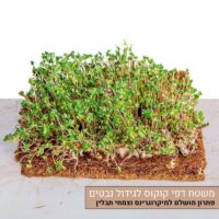 משטח דפי קוקוס אורגני מצע לגידול נבטים