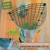 עמוד ספגנום D עמוד ספגנום D