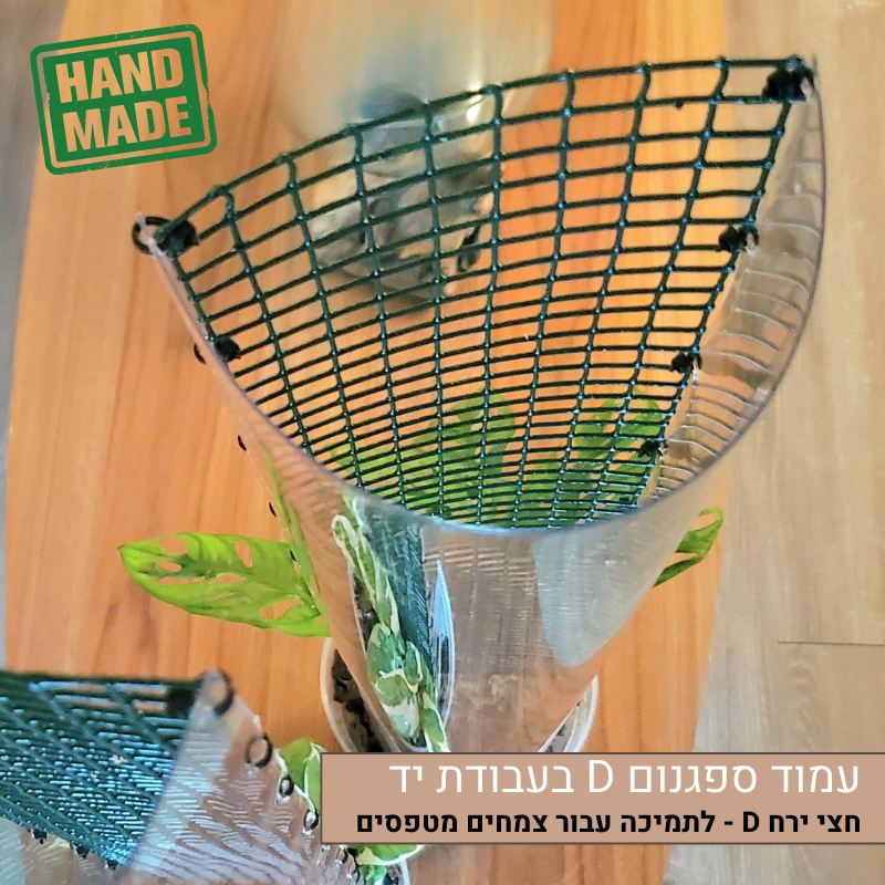 עמוד ספגנום D עמוד ספגנום D