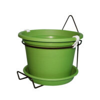 גפן-קיר-ירוק-יער-050-600x600 סט עציץ מקצועי לתלייה על הקיר - הפתרון המושלם לגינון בכל מרחב