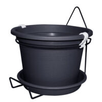 גפן-קיר-פחם-004-600x600 סט עציץ מקצועי לתלייה על הקיר - הפתרון המושלם לגינון בכל מרחב