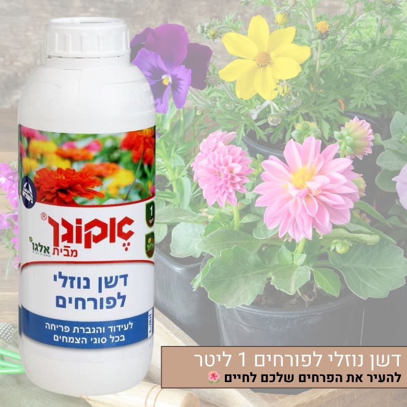 דשן נוזלי לפורחים אקוגן 1 ליטר דשן נוזלי לפורחים אקוגן 1 ליטר