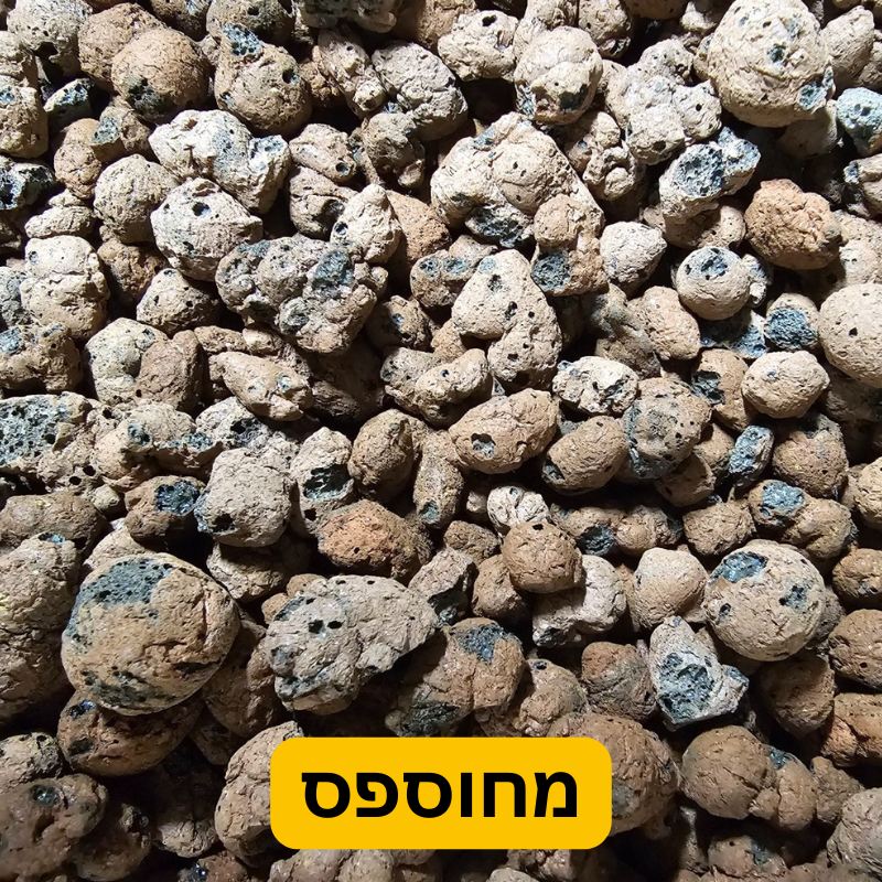כדורי הידרוטון Hydroton, קרמזיט, ליקה מחוספסים כדורי הידרוטון Hydroton, קרמזיט, ליקה מחוספסים