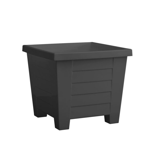 כנכן-פחם-004-1-600x600 עציץ כנען ריבועי מעוצב: מראה קלאסי עם פסים דקורטיביים לשדרוג הכניסה לבית, המרפסת והמשרד