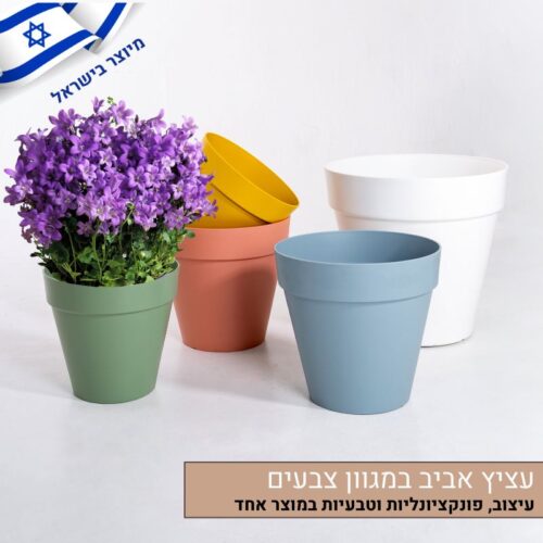 עציץ אביב במגוון צבעים