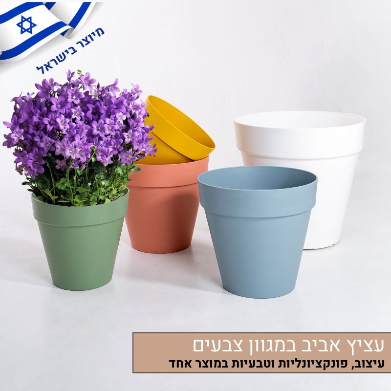 עציץ אביב במגוון צבעים עציץ אביב במגוון צבעים
