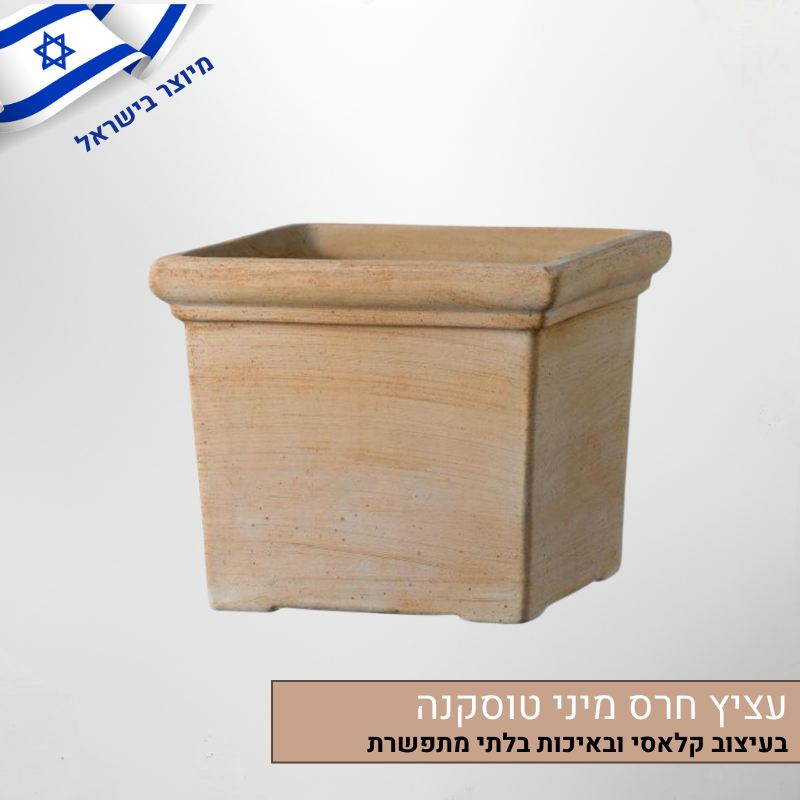 עציץ חרס מיני טוסקנה עציץ חרס מיני טוסקנה