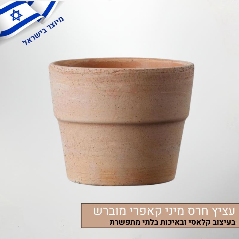 עציץ חרס מיני קאפרי מוברש עגול עציץ חרס מיני קאפרי מוברש עגול