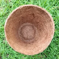 עציץ מיני קוקוס (2) עציץ קוקוס מיני