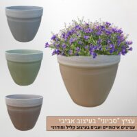 עציץ סביוני איכותי במראה אביבי עדין עציץ סביוני איכותי במראה אביבי עדין