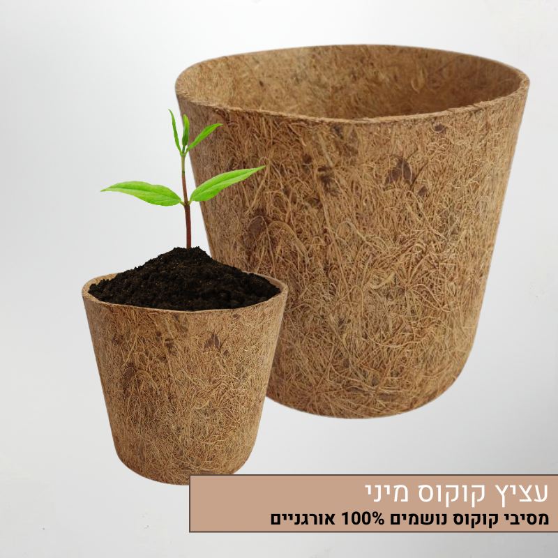 עציץ קוקוס מיני עציץ קוקוס מיני