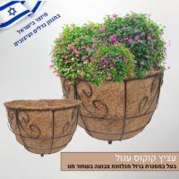 עציץ קוקוס עגול עציץ קוקוס עגול
