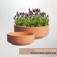 קערה חרס קנבארו קערה חרס קנבארו