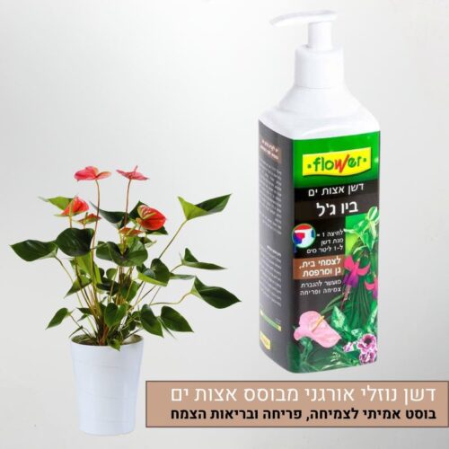 דשן אצות ביו ג'ל דשן אצות ביו ג'ל