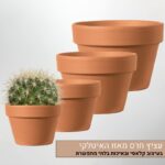 עציץ חרס מאזו האיטלקי עציץ חרס מאזו האיטלקי