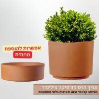 עציץ חרס קורסיקה צילינדר