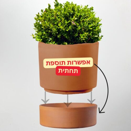 עציץ חרס קורסיקה צילינדר אפשרות לתחתית
