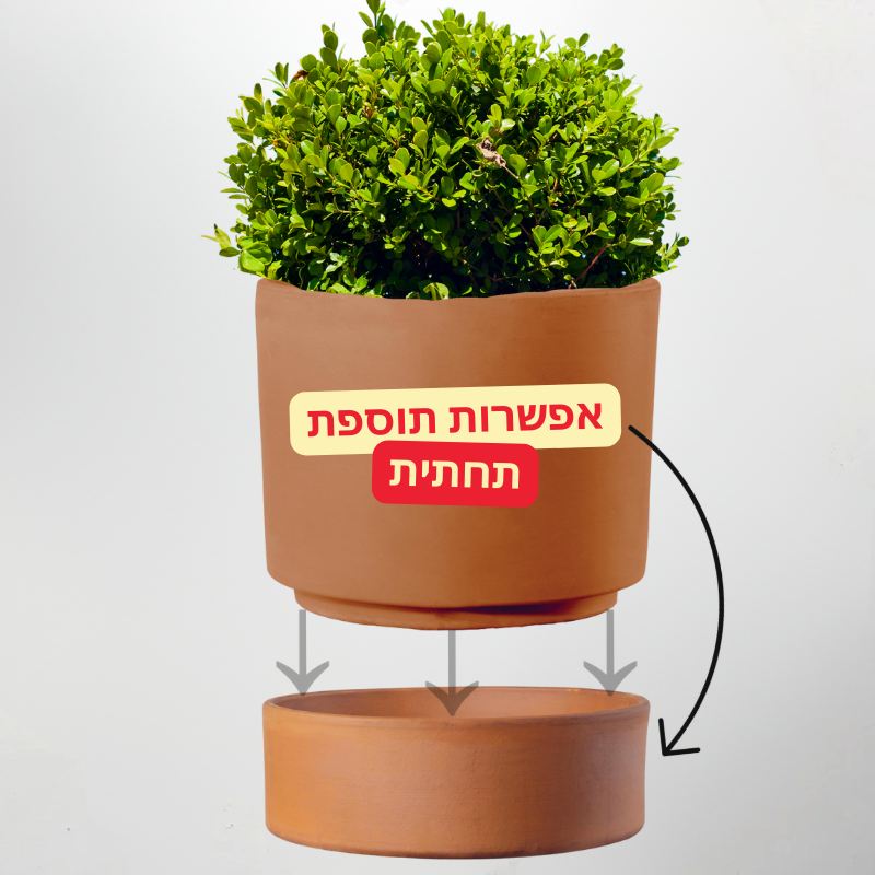 עציץ חרס קורסיקה צילינדר אפשרות לתחתית
