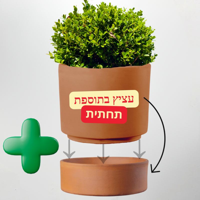 עציץ חרס קורסיקה צילינדר עם תחתית
