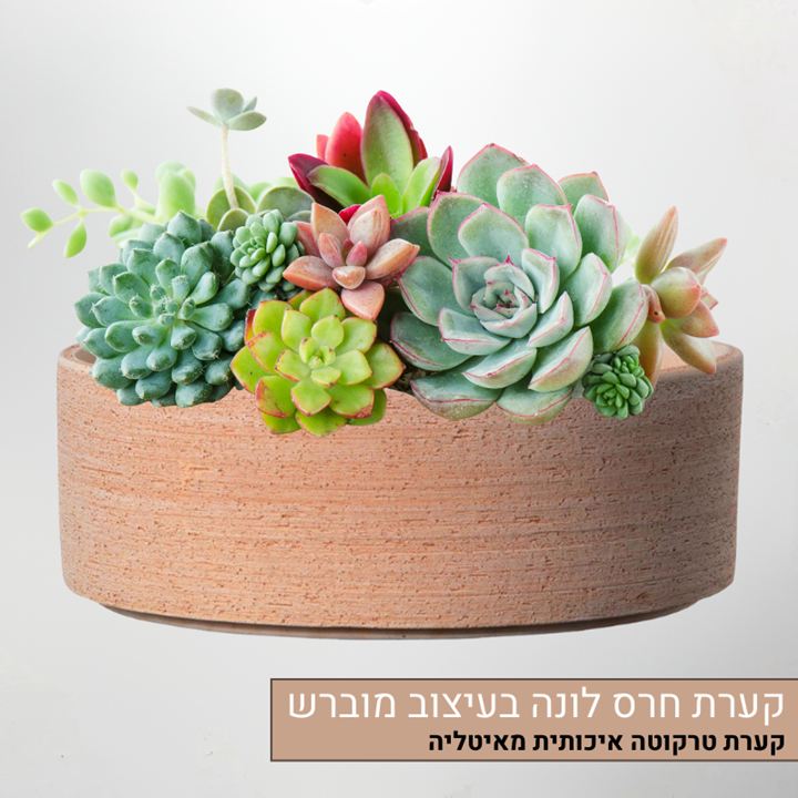 קערה חרס לונה קערה חרס לונה
